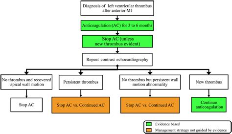 left ventricular thrombus management.